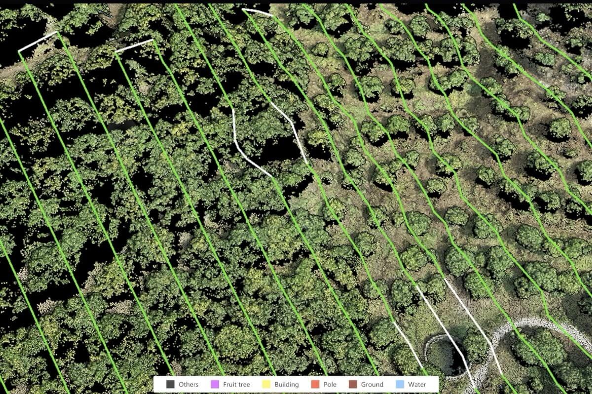 Cartografía de huertos con DJI Mavic 3M
