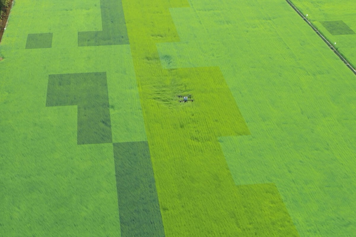 Aplicación variable con DJI Mavic 3M